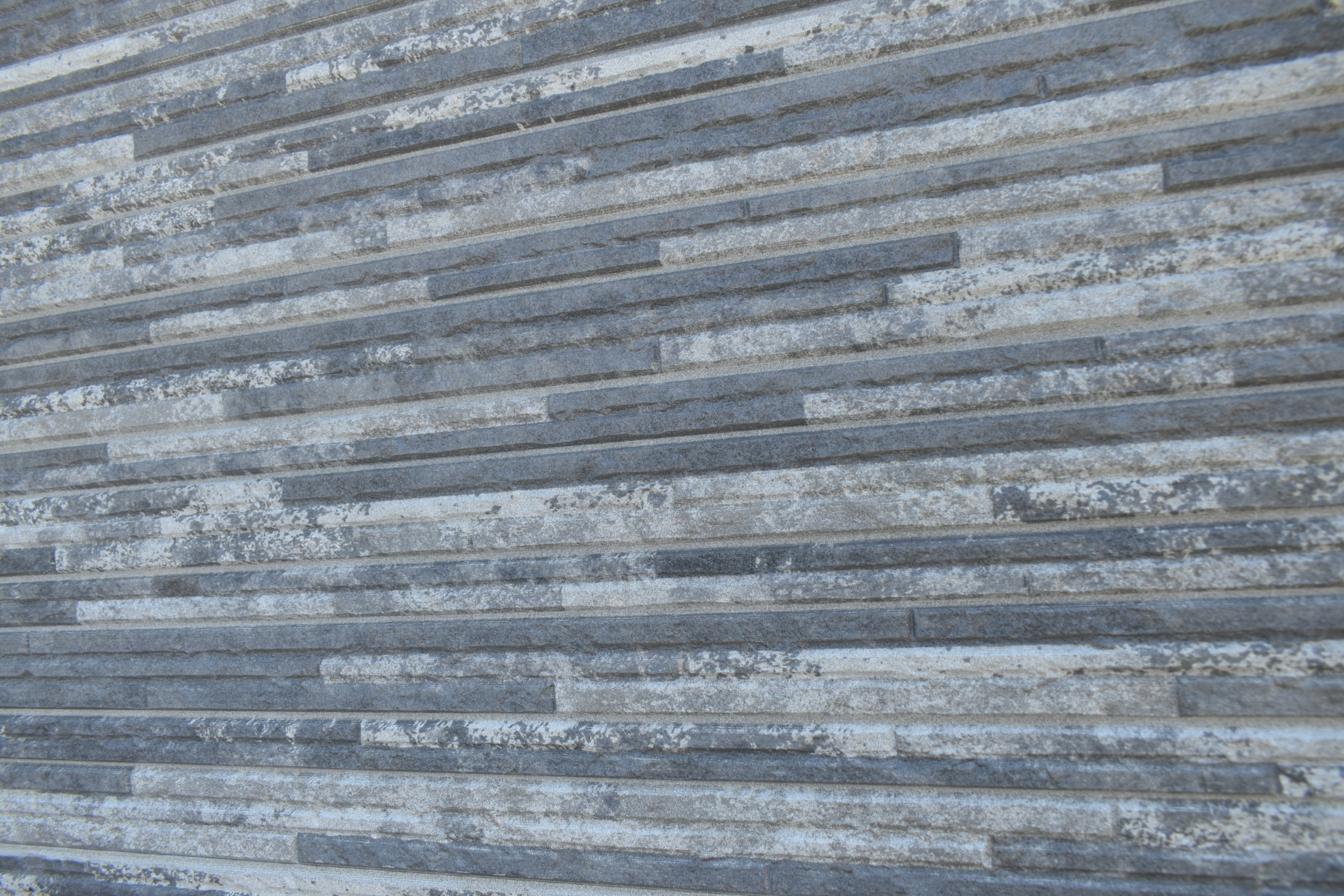 限定公開｜新モデルハウス建築タイムラプス動画（外壁・サイディング）