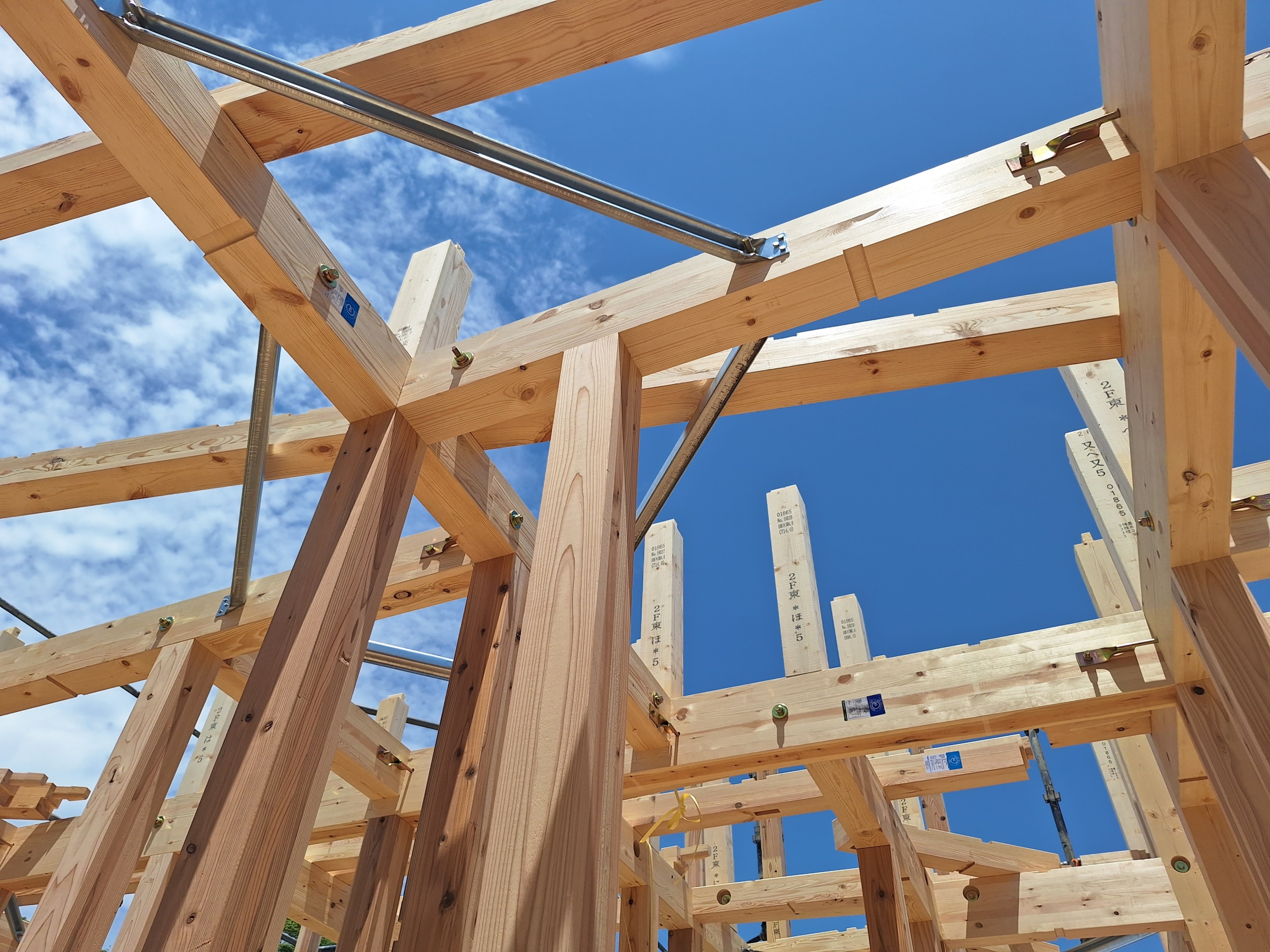 限定公開|新モデルハウス建築タイムラプス動画(上棟)