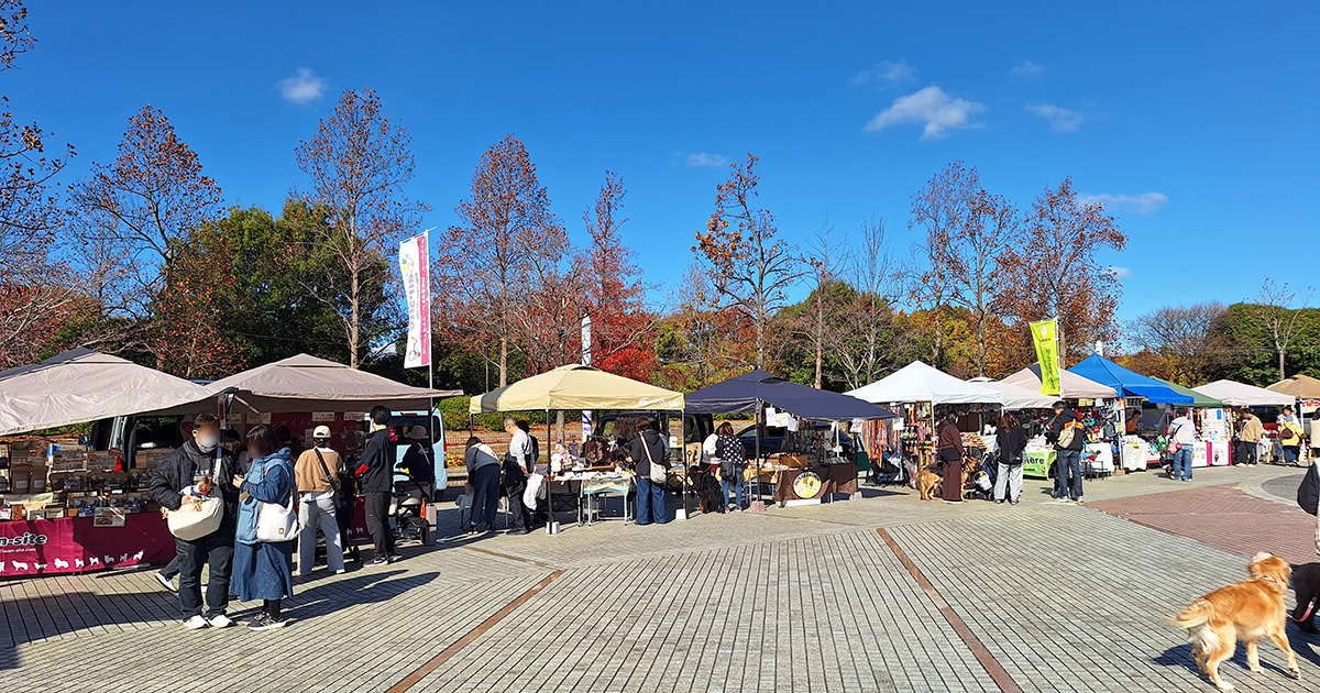 「SKYわんにゃんマーケット in 寺ヶ池公園」河内長野初開催【入場無料】