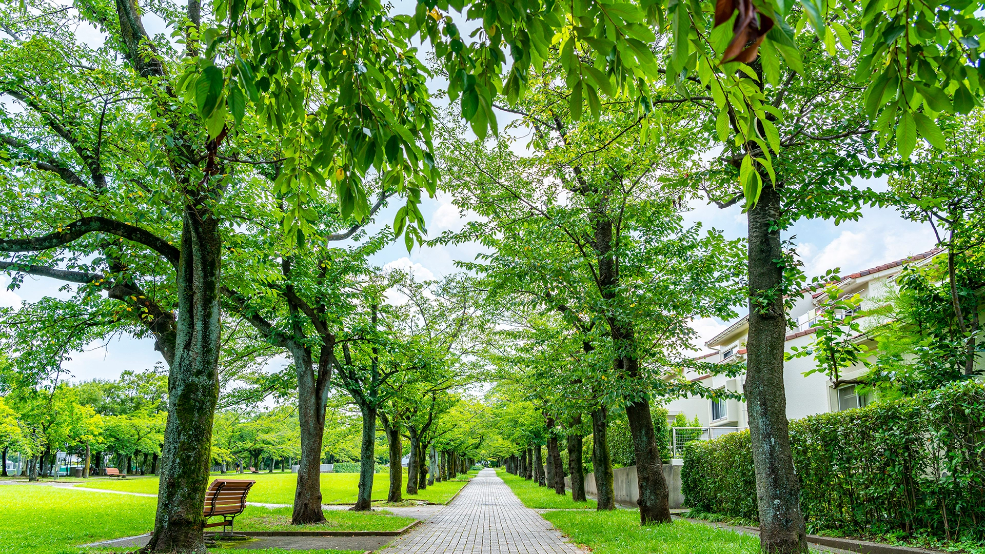 新築分譲地一覧｜アローラル三共住販株式会社