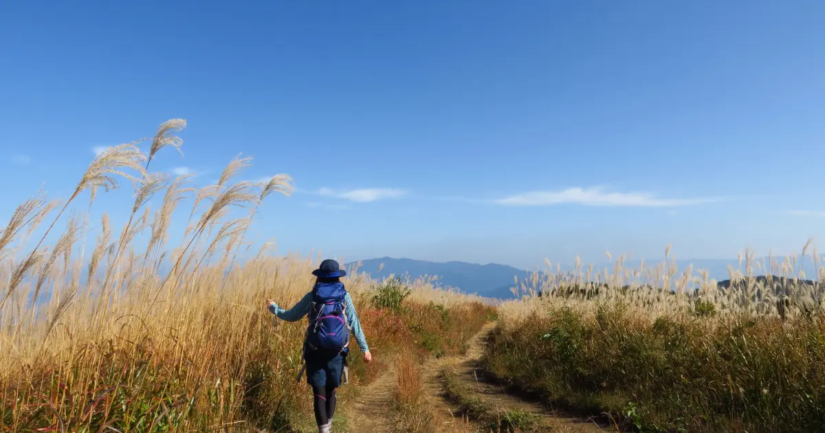 河内長野の宝「岩湧の森」を未来へ - ガバメントクラウドファンディングが始まっています