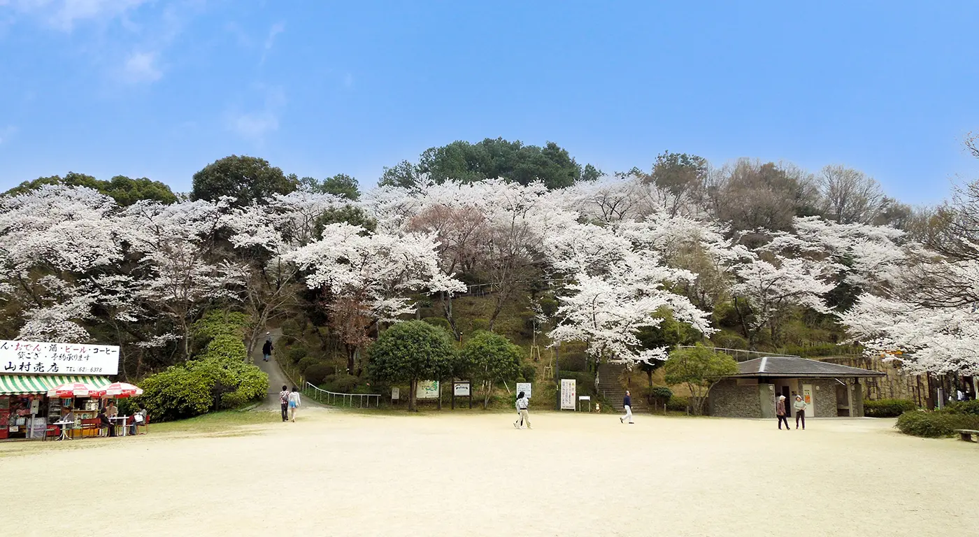 日常の中に自然がある暮らし