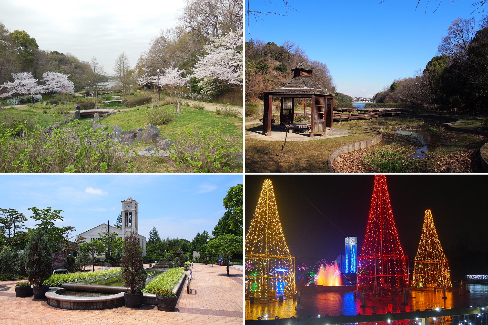 河内長野市の寺ケ池公園。桜の園路、池畔の東屋、園内の広場、夜のイルミネーションを写した4枚の写真