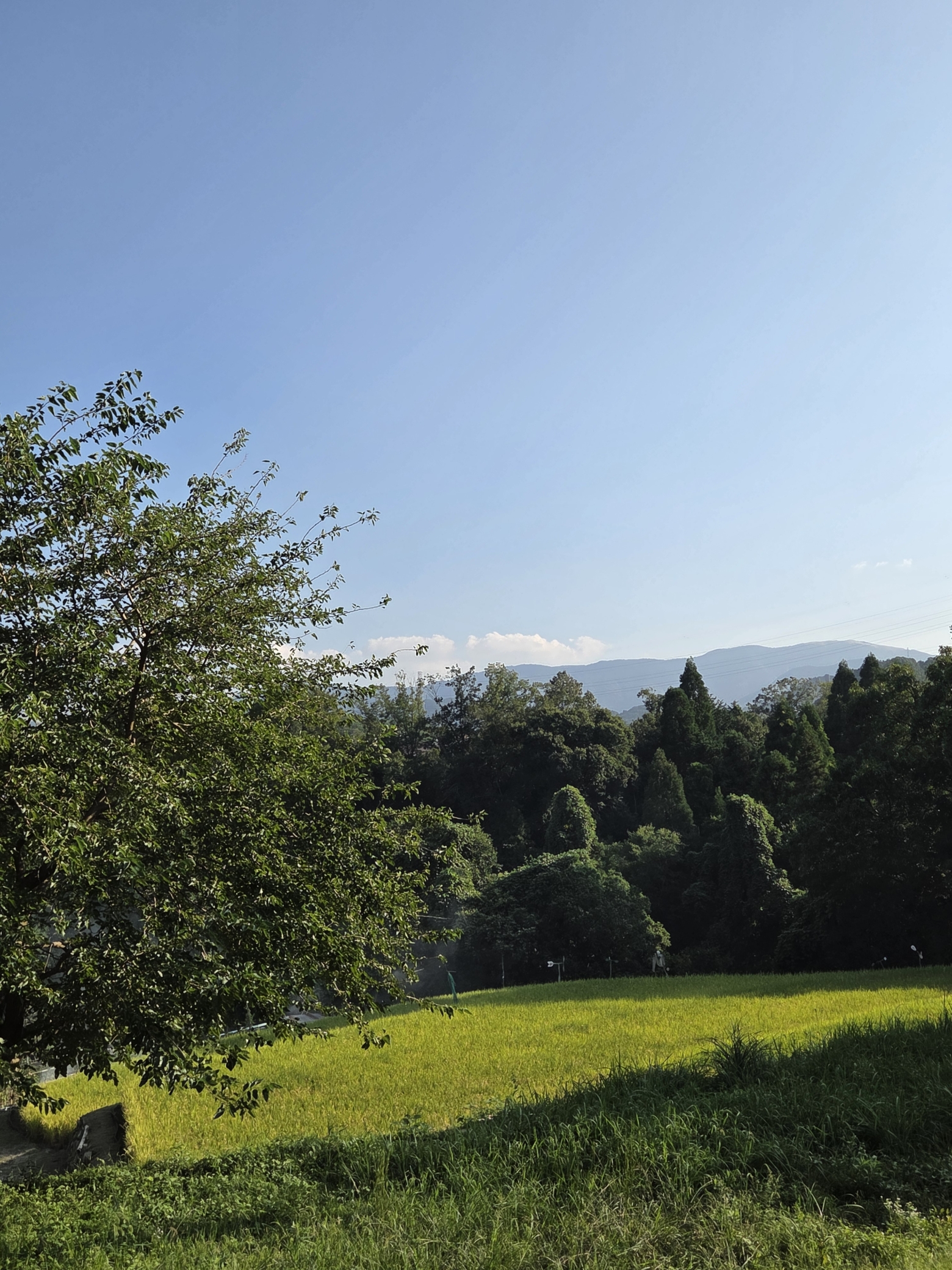 山の中に田んぼのある田舎の風景